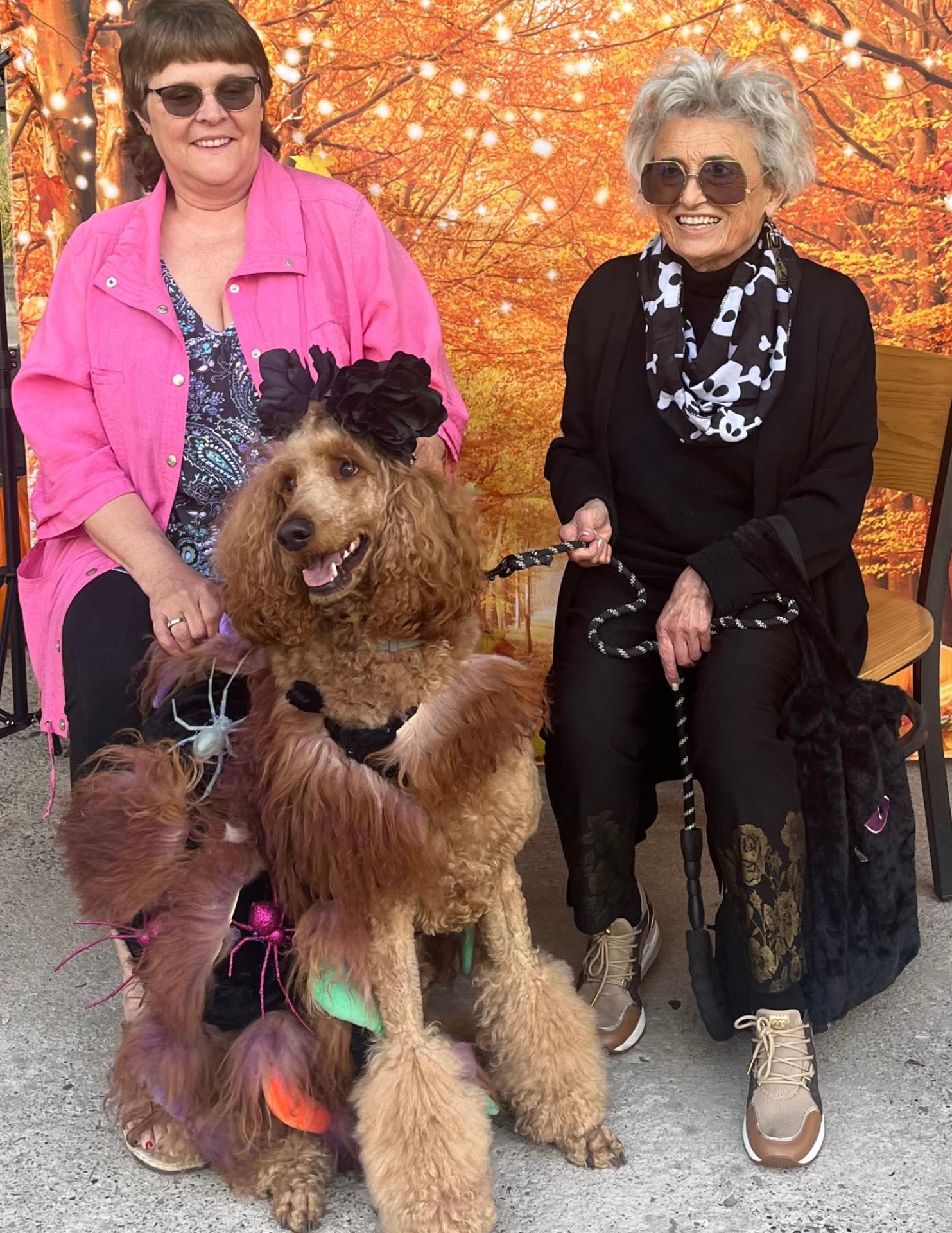 Halloween Spooktacular