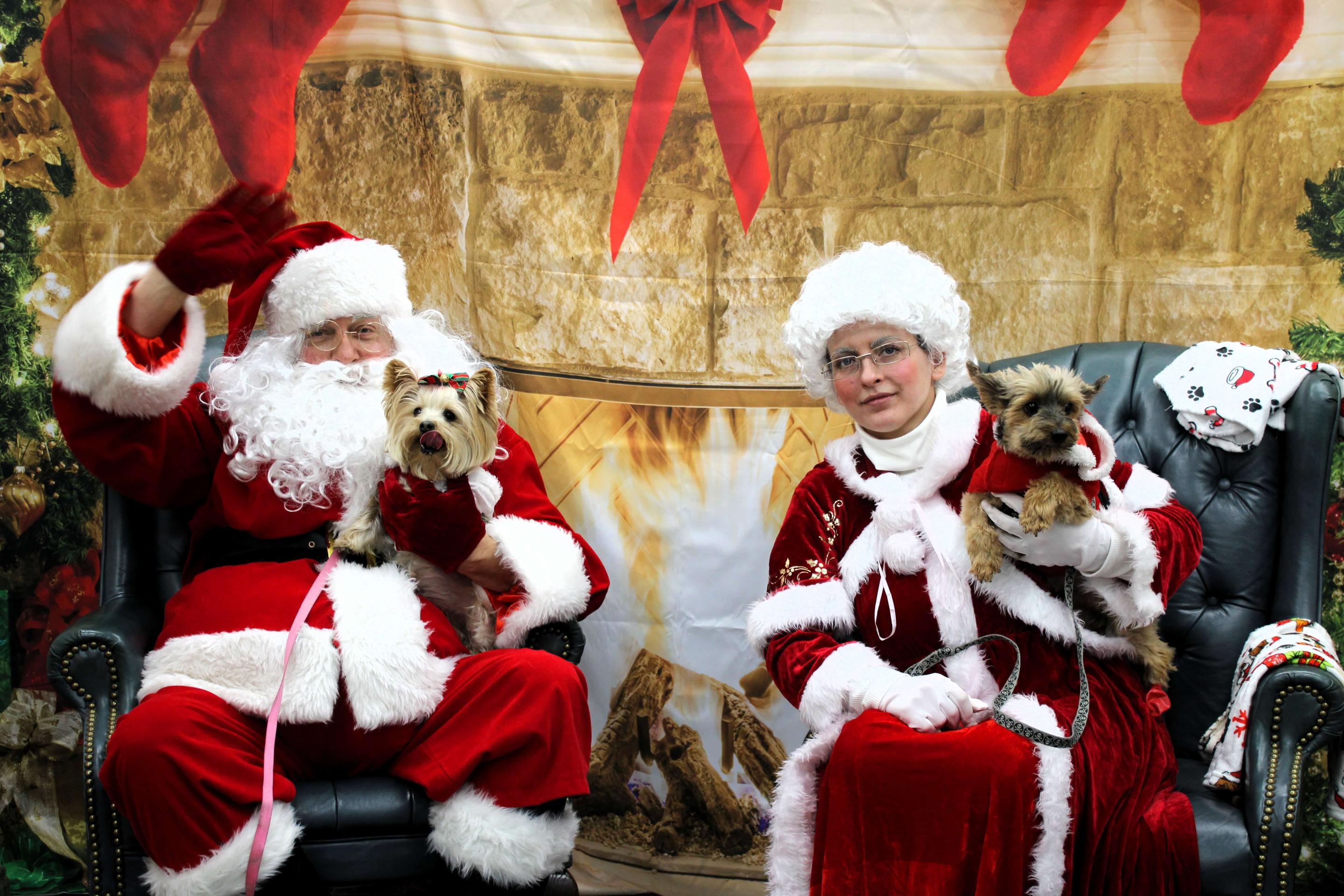 Santa